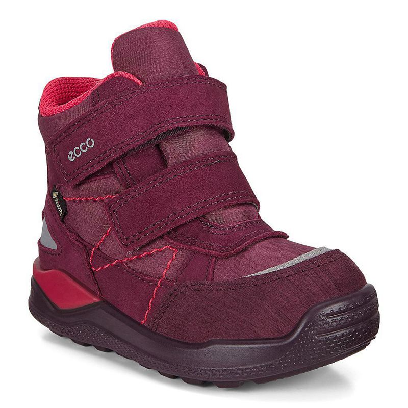 Botas Ecco Urban Mini Para Niños,Moradas,659348-OSE